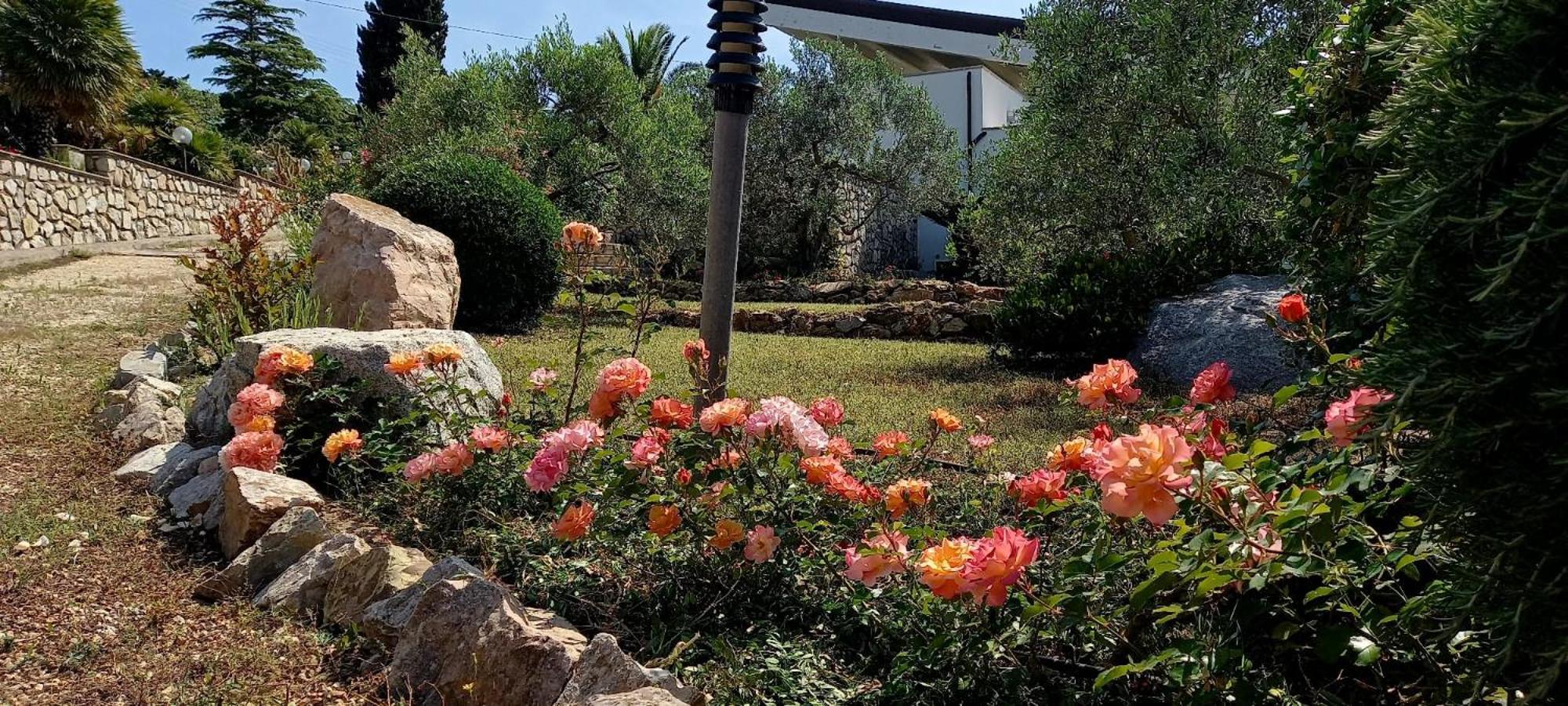 Residence Les Oliviers Porto Azzurro Ngoại thất bức ảnh
